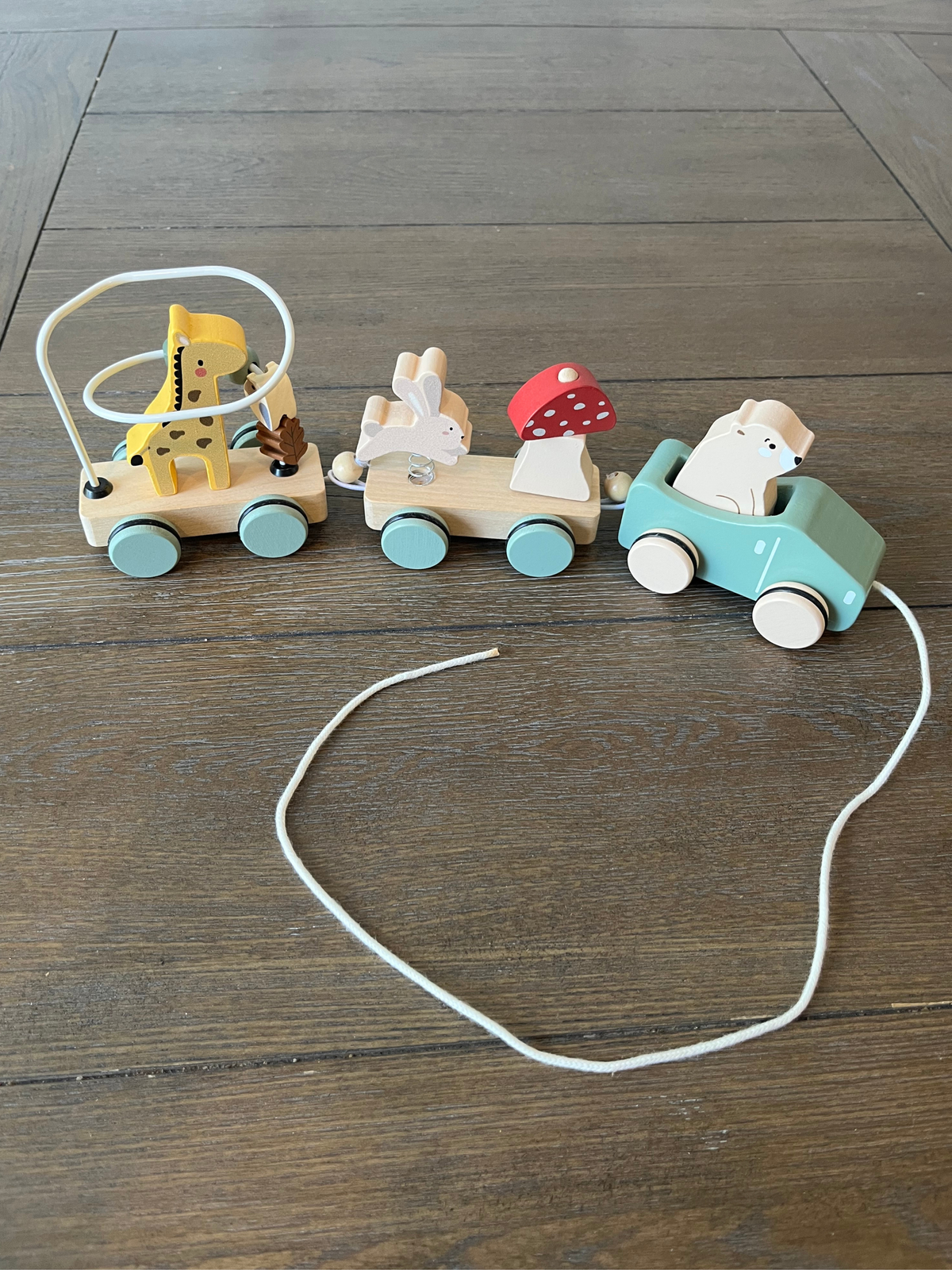 Wooden Pull-Along Train Set- Animal Theme