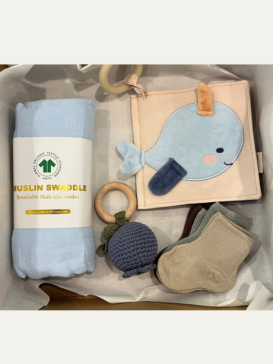 Baby Bundle- Starter