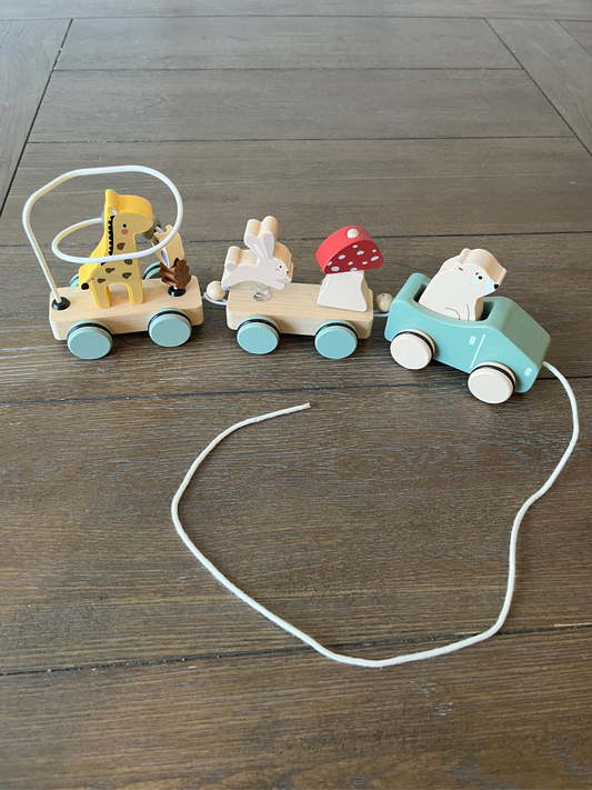 Wooden Pull-Along Train Set- Animal Theme